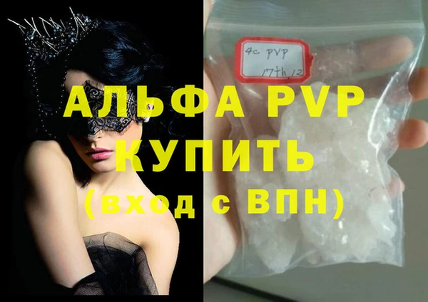 прущий лед Богданович