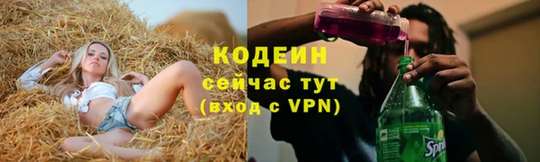 прущий лед Богданович