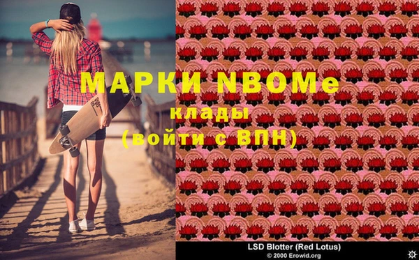 прущий лед Богданович