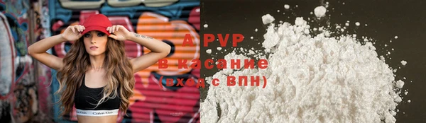 прущий лед Богданович