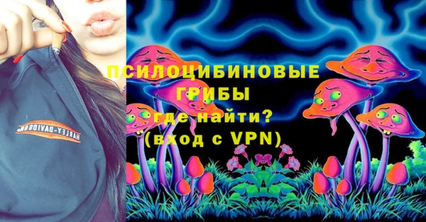 прущие грибы Богородск