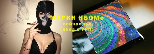 прущий лед Богданович