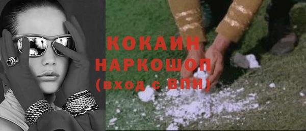 прущие грибы Богородск