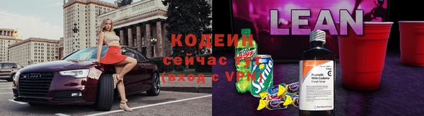 прущий лед Богданович