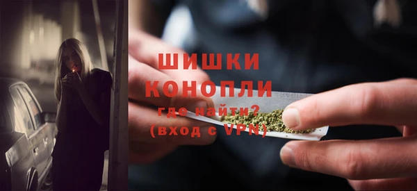 прущий лед Богданович