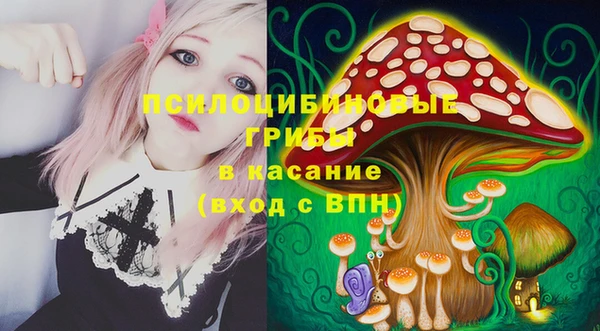 прущий лед Богданович