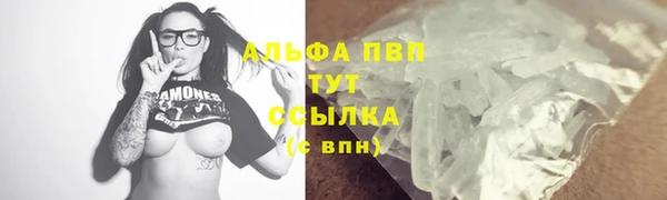 прущие грибы Богородск