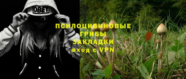 прущие грибы Богородск
