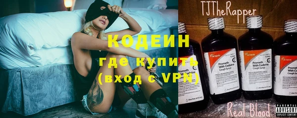 прущие грибы Богородск