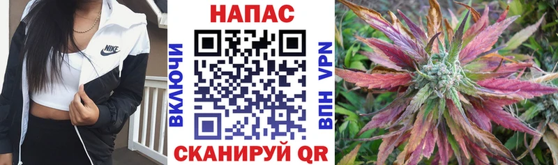 цены наркотик  Шимановск  Бошки марихуана семена 